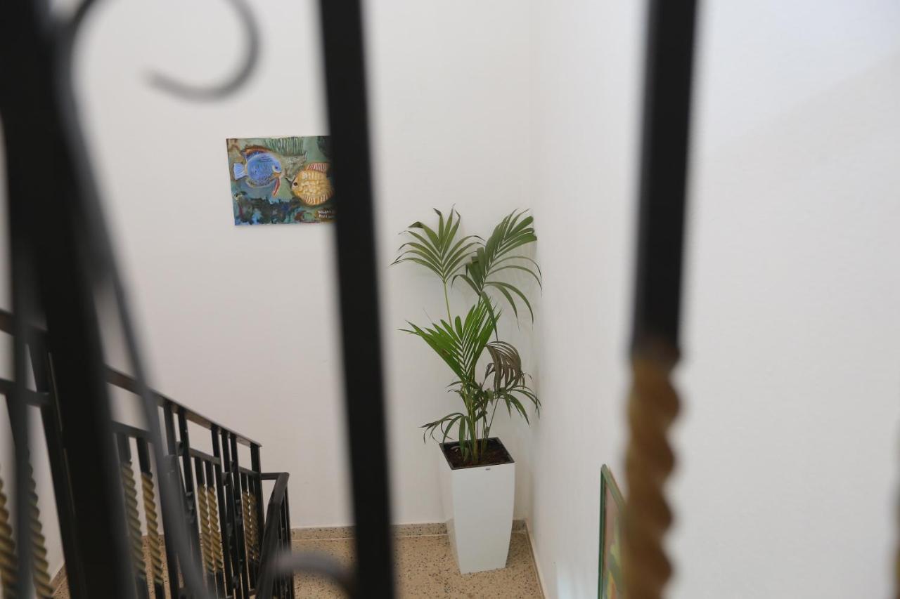 Apartment Celaj Velipojë Extérieur photo